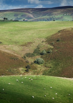 Environmental Heritage work on the Long Mynd & Clee Liberty Common