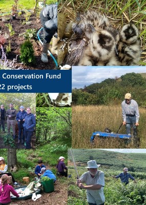 Grants available for local conservation projects 
