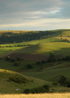 Shropshire Hills among designated national landscapes to be strengthened by government