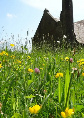 Hay Day at Clungunford churchyard