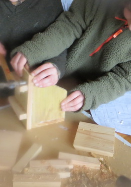 Young Rangers: Nest Box Building