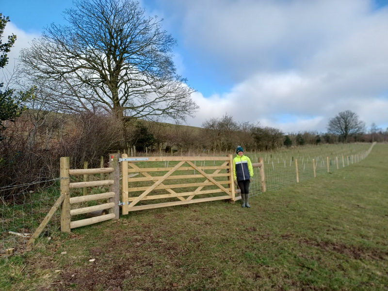 photograph of tree planting and new gate