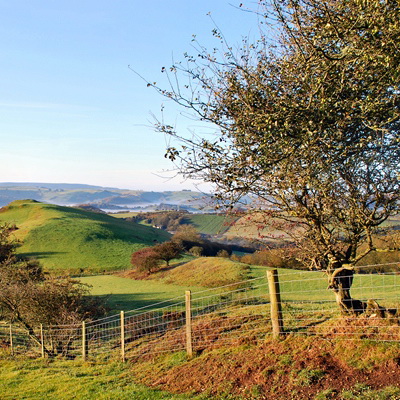 Friends of the Shropshire Hills